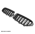Load image into Gallery viewer, F80 M3 & F30 3-Series Carbon Fiber Front Grille